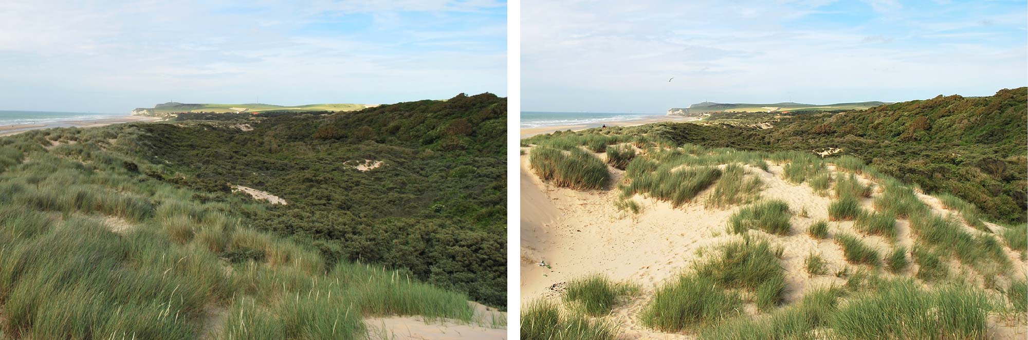 wissant cap blanc nez-01