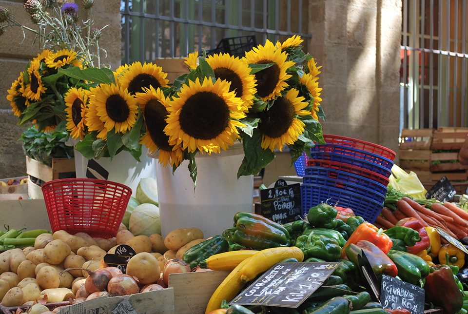 aix marche tournesol