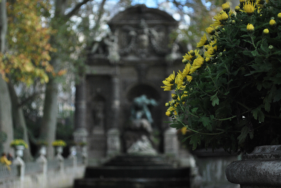 fontaine-medicis-fleur